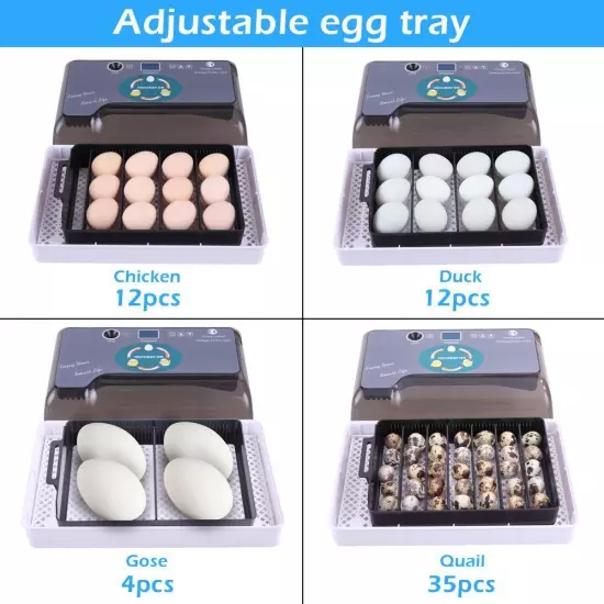 12 Eggs Auto Incubator Digital Poultry Hatcher Auto Turning LED Lamp Pet Home