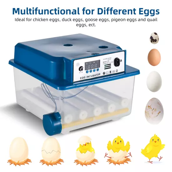 16 Eggs Incubator with Automatic Turning, Humidity Control, V1C3