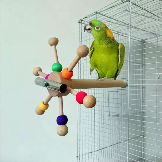 Parrot Toy With Rotating Balls Wood Interactive Bird Stand Parrot Foraging✧