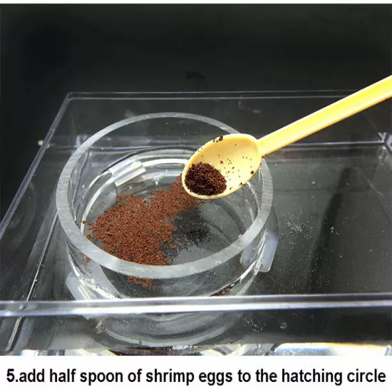 Brine Shrimp Artemia Eggs and Salt All in one Harvesting Kit Incubator Hatchery