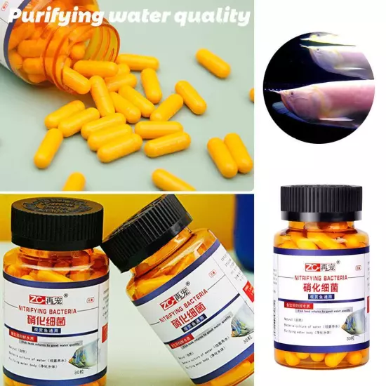 Fish Tank Water Quality Purifier Concentrated Nitrifying Capsules W1B7