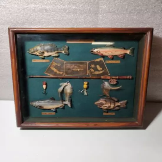 Vintage American Angling Shadow Box Fishing Cabin Den Man Cave Fish & Tackle. 