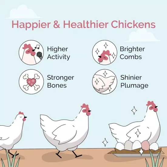 Chicken Grit | Layer & Grower Chickens Age 8-20+ Weeks | 4 lbs. | 100% Natural M