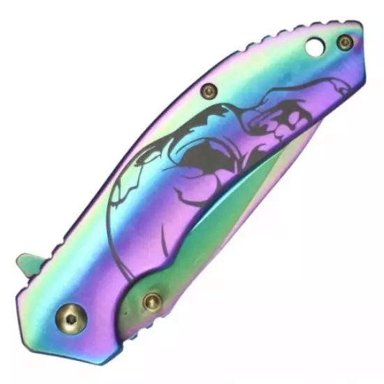 Spring-Assist Folding Knife Wartech Premium Ball Bearing Easy Open Rainbow Skull