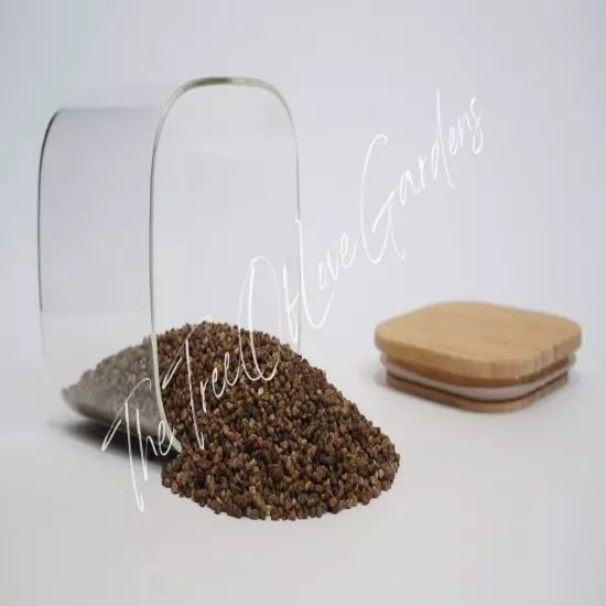 Cardamom Seeds | Elettaria cardamomum | Whole Cardamom Seed | Hulled Seeds