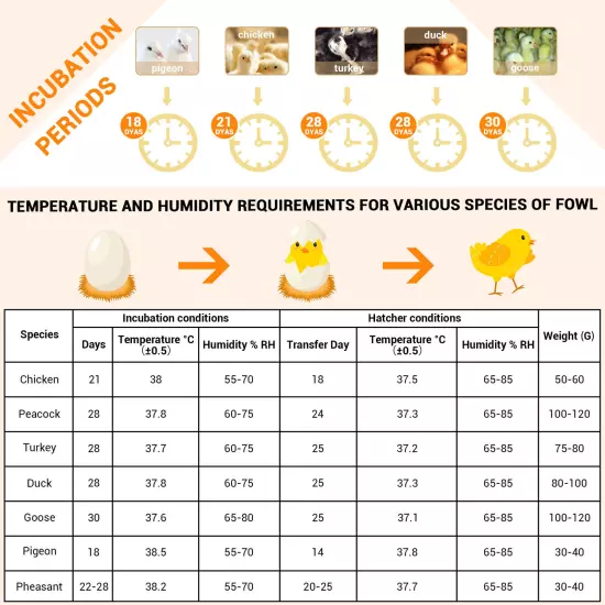 16 Egg Incubator Digital Control Automatic Turning Humidity Chicken Temperature