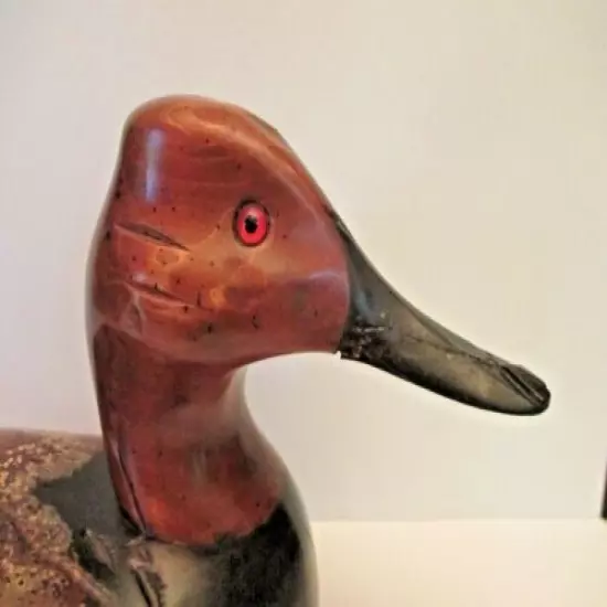 Canvasback 14" Carved Duck Decoy, Ken Hopkins 1982