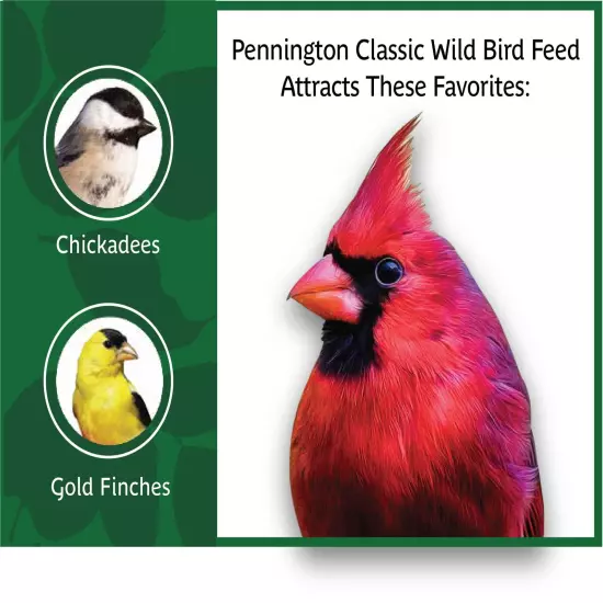 Classic Dry Wild Bird Feed and Seed, 10 Lb. Bag, 1 Pack