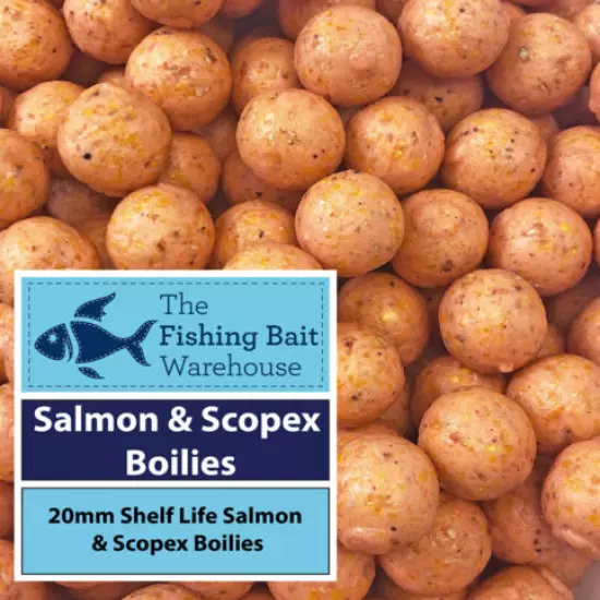 SALMON & SCOPEX Carp Fishing Boilies 20mm 1kg-20kg - Shelf Life Boilies - Coarse