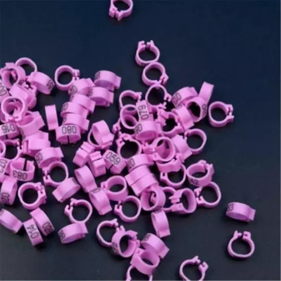 100PCS 8mm Bird Rings Leg Foot Bands For Pigeon Parrot Clip Rings Number 1-100