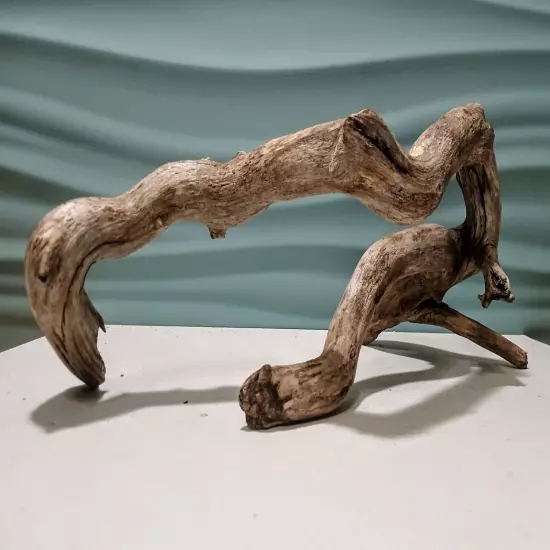 Natural Driftwood Root, Taxidermy, Aquarium, Terrarium, Art/Crafts, Decor