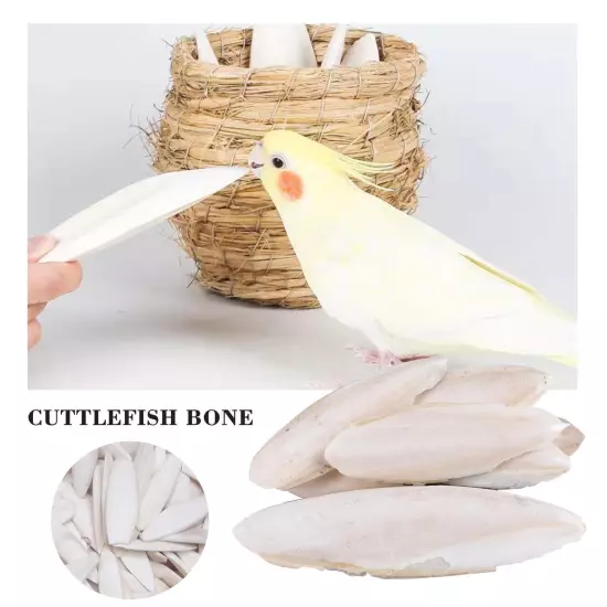 1 Bag Cuttlebone Cuttlefish Bone Sepia Cuttle Fish Food us Bird Pickstone Q7R9