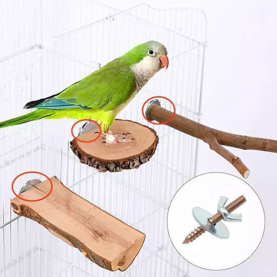 Bird Cage Screws Perch Stand Platform Multiple Color 