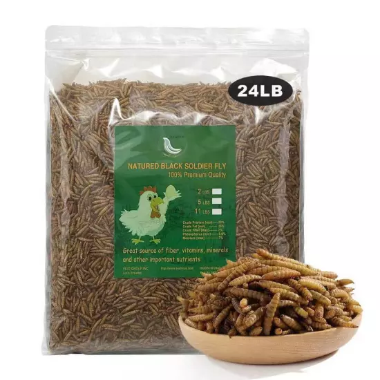 EUCHIRUS Natural Dried 24lbs Soldier Fly Larvae Seed 85x Calcium Than Mealworms