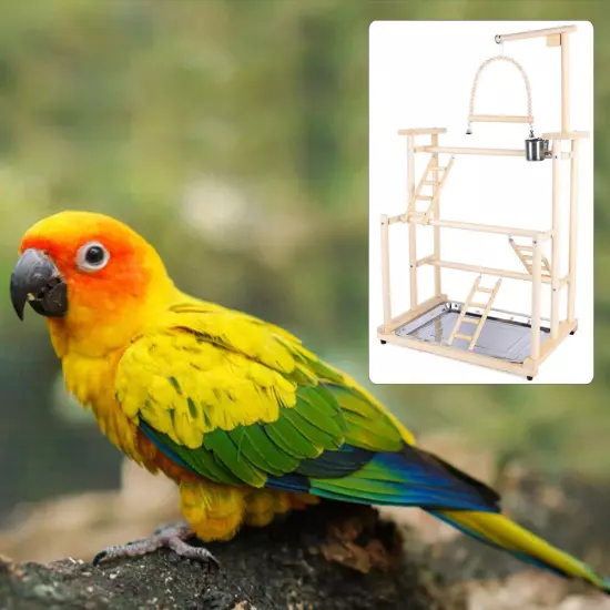 NEW 3-Layer Parrot Playstands Cockatiel Playground Bird Perches Gym Exercise USA