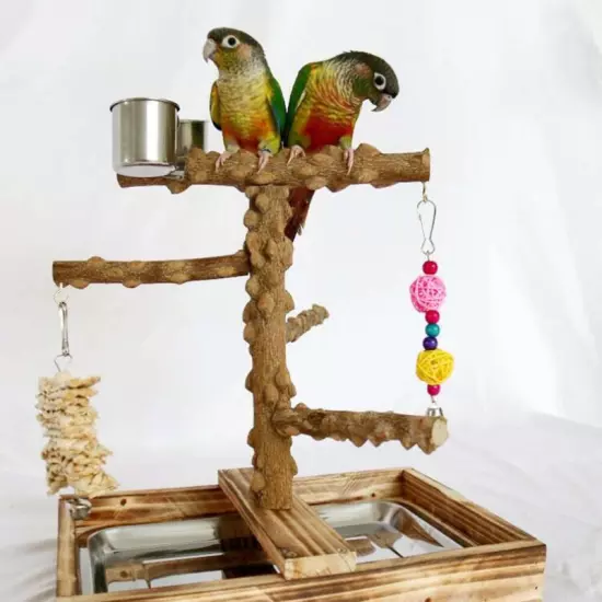 Parrot Playstand Bird Playground Perch Gym Training Stand Toys with Feeder Cup