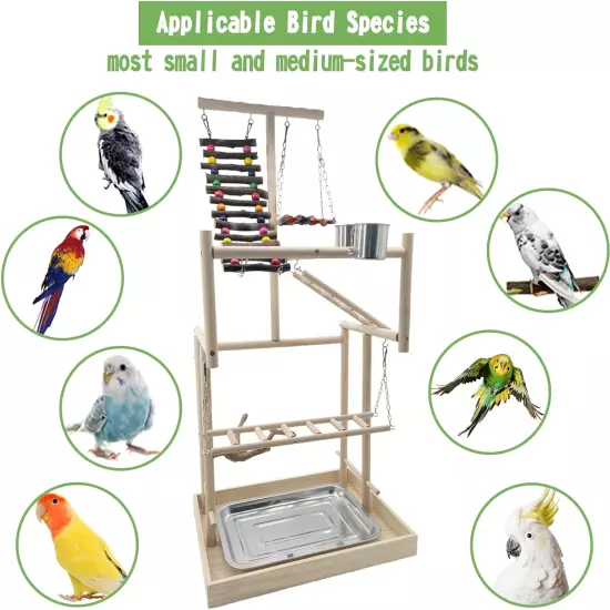 4 Layers Large Bird Playground 32" H Pet Parrot Playstand Gym Perch Wood Playpen