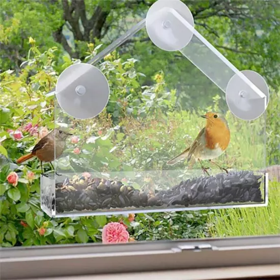 Window Bird Feeder Suction Cups Wild Bird Feeder Outside Bird Watching Gifts