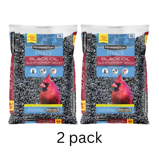 Select Black Oil Sunflower Seed Dry Wild Bird Feed and seed 40 Lb. Bags 2 Pack