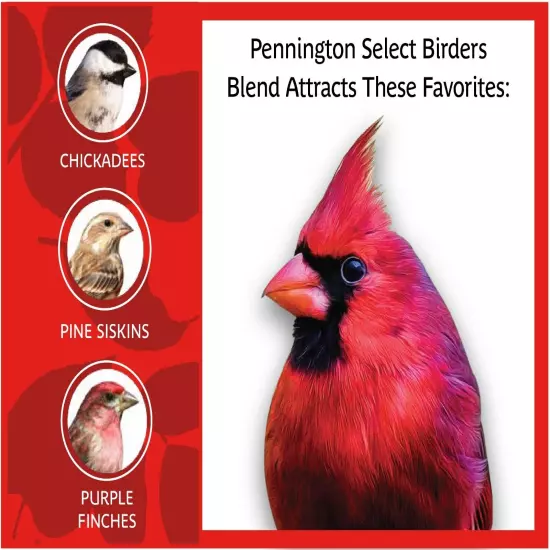 2 Pack Pennington Select Birder's Blend, Wild Bird Seed and Feed, 14 lb. Bag