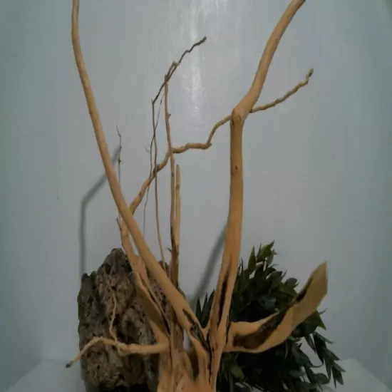 driftwood aquarium fish & reptiles 11x13" spiderwood root decor