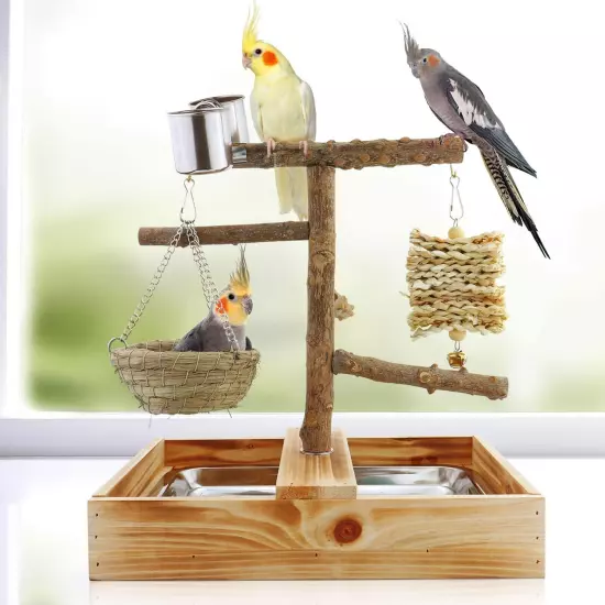 Mogoko Natural Bird Playground Bird Perches, Bird Cage Accessories, Bird Toys...