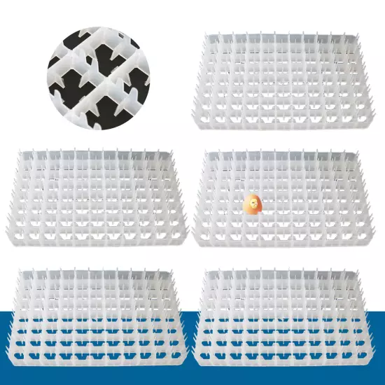 5pcs 440 Egg Tray for Automatic Hatcher Automatic Breeding Machine Incubator