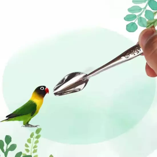 Parrot Feeding Spoon Stainless Steel Feed Manual Metal Feeder Tool