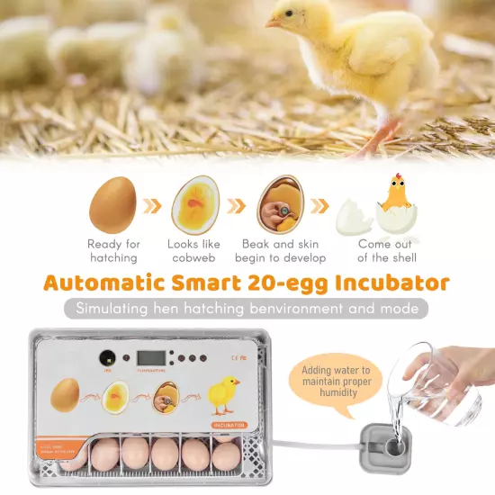 Digital Incubator 20 Eggs Poultry Hatcher with Auto Turning W6R6