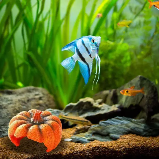 Pumpkin Shaped Fish Hideout House Tank Decor Aquarium Tank Decoration^ Fish Y8K2