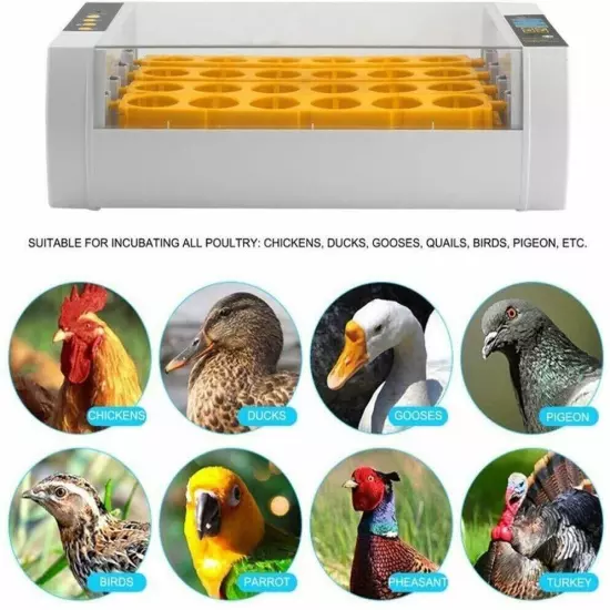 24 Eggs Dual Power Supply Turning Incubators Digital Poultry Chicken Hatcher