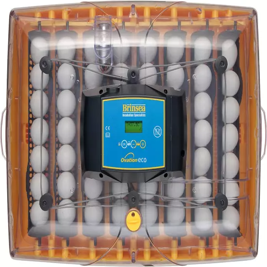 Products Usag45C Ovation 56 Eco Automatic Egg Incubator, One Size