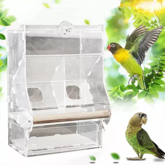 Acrylic Automatic Feeder Case Double Hopper Wood Perches Bird Feeder Cage NEW US