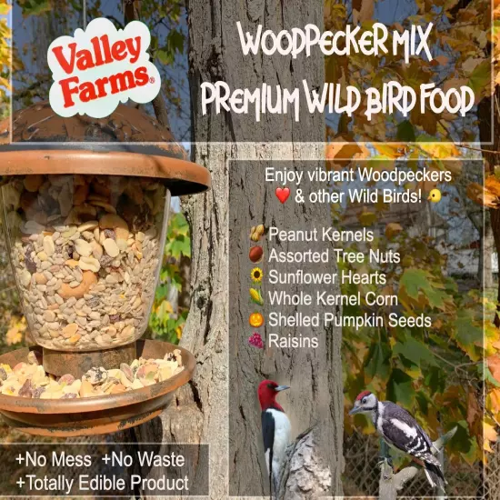 Woodpecker Mix - w/Sunflower Hearts No Mess No Waste Wild