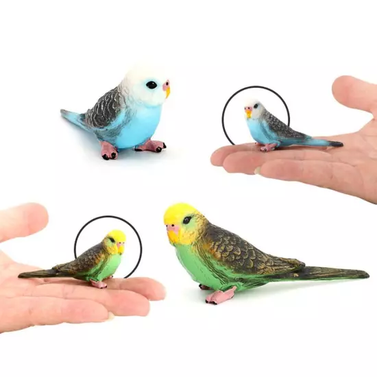 Parrot Animal Mod Budgie Parrot Bird Figurine Parakeet Birds Garden Orname D1P0