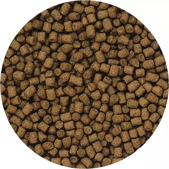 Hikari 12.3-Ounce Lionhead Sinking Pellets for Pets, Mini