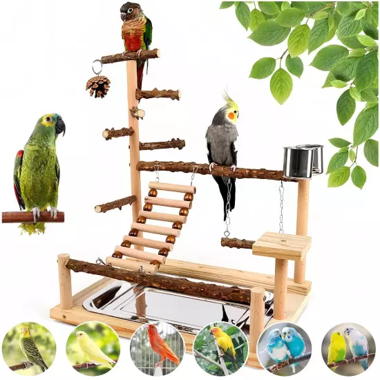 Bird Playground Parrot perch stand Natural Wood bird play stands for cockatie