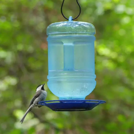 Perky-Pet 780 Outdoor Hanging Water Cooler Bird Waterer and Dispenser,Blue, 1.5 