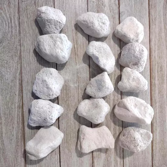 Pumice Pet Chews 15 piece larger toy making stones 1.5" -2+ inch size parrot