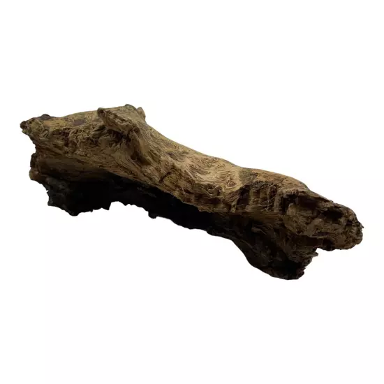 Missouri Ozark Area Driftwood Decor For Aquarium 8½"×5"×3" Swirl Wood Pattern 