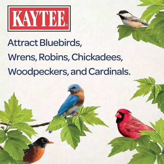 Kaytee Wild Bird Gourmet Seed Cake (2pounds) For Cardinals, Chickadees, Juncos,