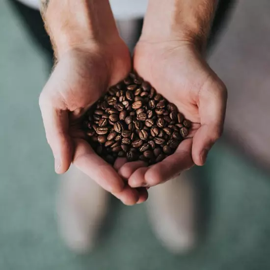 French Roast, Ground Coffee, 5-Pound Bag