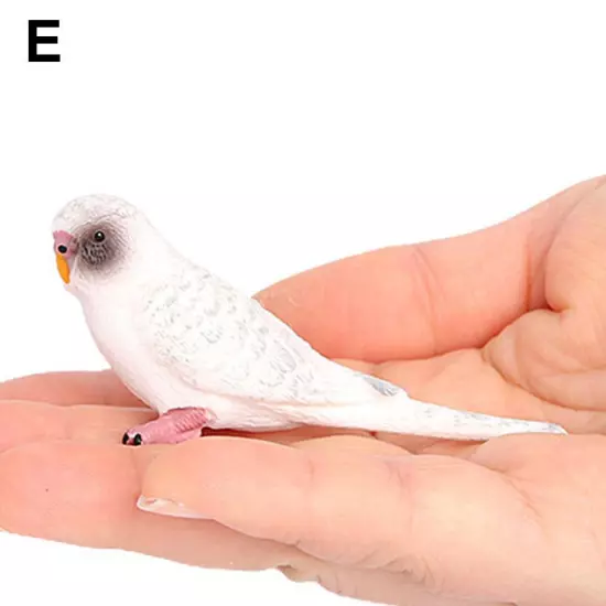 Parrot Animal Mod Budgie Parrot Bird Figurine Parakeet Birds Garden Orname W1B7