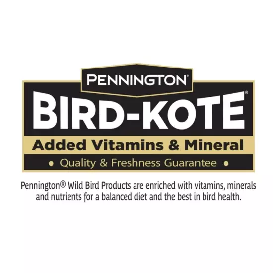 Pennington Ultra Fruit & Nut Blend, Dry Wild Bird Seed and Feed, 6 lb 1 Pack Bag