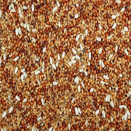 Royal Feeds Dove Mix - Mix of Grains & Seeds Loved by Doves and Pigeons (5 lbs)