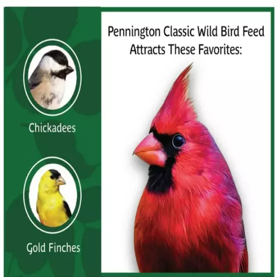 Pennington Classic Wild Bird Feed and Seed, 20 lb. Bag, Dry, 1 Pack