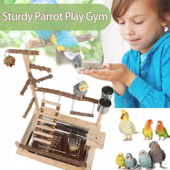 Bird Playground, Parrot Perch Stand, Natural Wood Bird Play Stands for Cockatiel