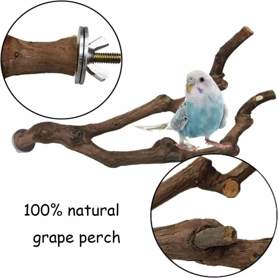 kathson Natural Parrot Perch Bird Stand Pole Wild Grape Stick Paw Grinding Fork