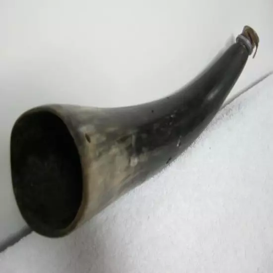 Vintage: Large Black Powder Horn, Found In An Old Pennsylvania Barn, Must See