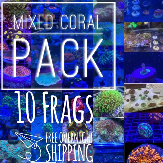 Frag pack live coral 10 Mixed Frags! Free Overnight Shipping